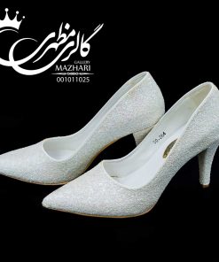 کفش 264-10