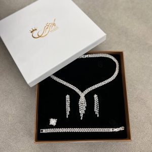 سرویس ظریف ریزشی