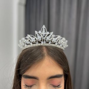 تاج عروس نقره‌ای برگ‌بلند