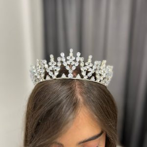 تاج عروس نقره‌ای شاخه‌گرد