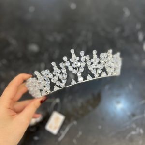 Alternative view of تاج عروس نقره‌ای شاخه‌گل