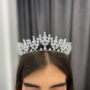 تاج عروس نقره‌ای شاخه‌گل