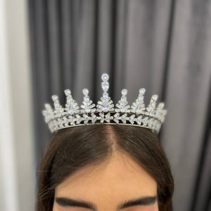 تاج عروس نقره‌ای شاخه‌برگی وارداتی