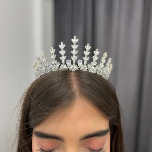 تاج عروس نقره‌ای شاخه‌برگ بلند